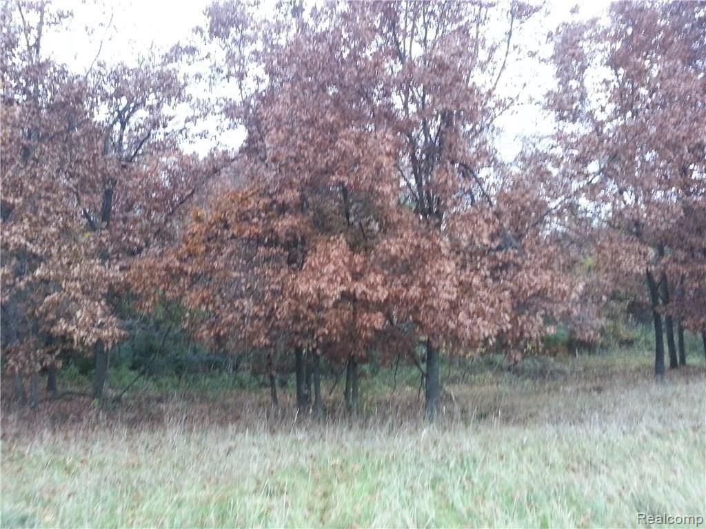 4470 Brown Road Metamora, MI 48455 - Photo 15 of 40 20161108_165448.jpg
