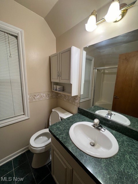 1260 Argonne Road Cleveland, OH 44121 - Photo 33 of 50 Bathroom featuring a shower with door, tile patterned floors, toilet, vaulted ceiling, and vanity