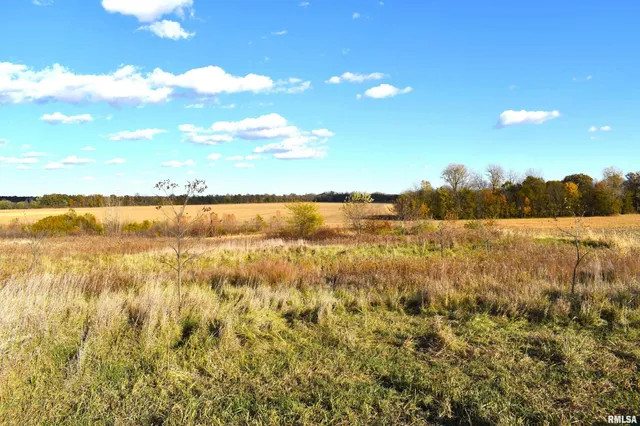 $320,000 | 1350 Road Kane Il 62054, Kane, IL 62054