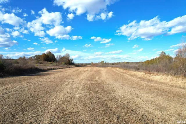 $320,000 | 1350 Road Kane Il 62054, Kane, IL 62054