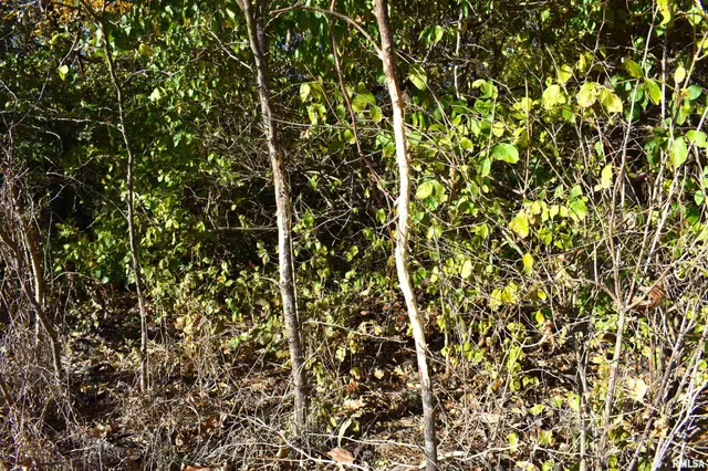 $320,000 | 1350 Road Kane Il 62054, Kane, IL 62054