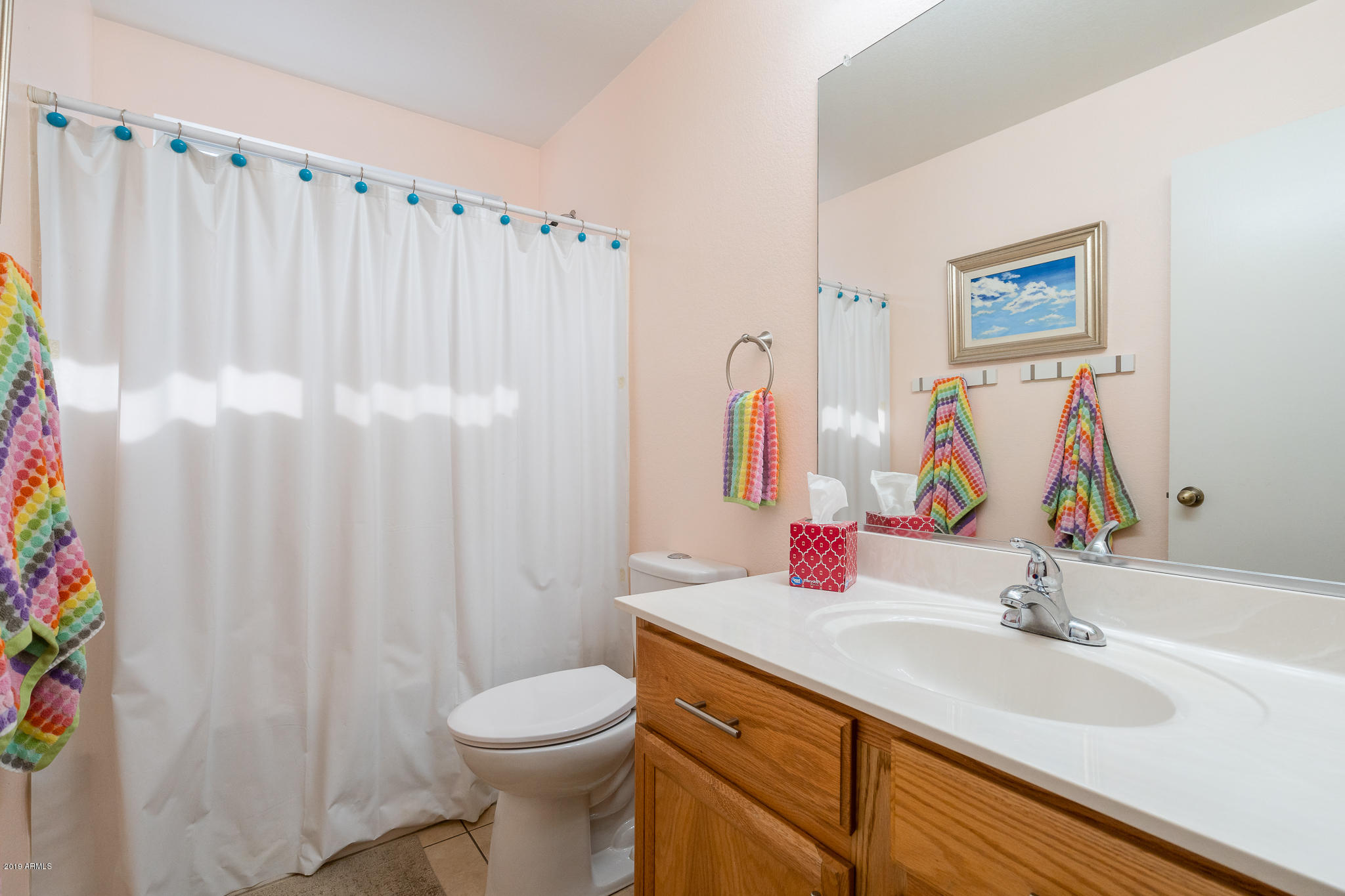 1850 East Apollo Road Phoenix, AZ 85042 - Photo 24 of 40 guest Bathroom