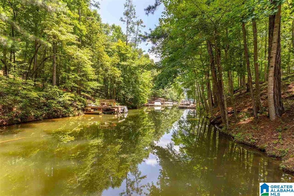 175 Meadow Lane Wedowee, AL 36278 - Photo 26 of 26