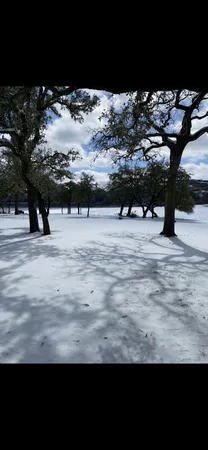 a view of a yard with a tree