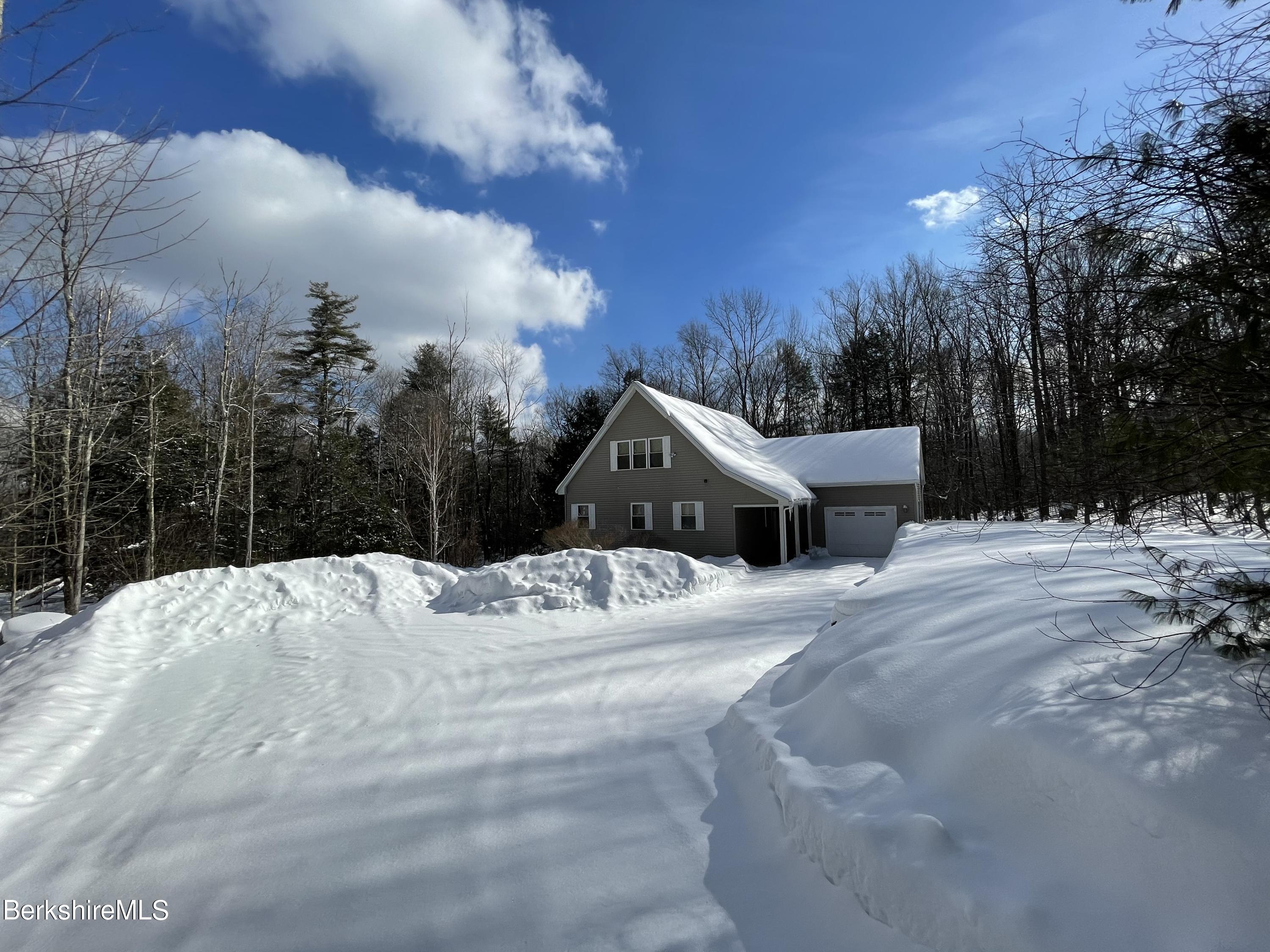 453 Ed Jones Road Otis, MA 01253 - Photo 3 of 41 a view of back yard of the house