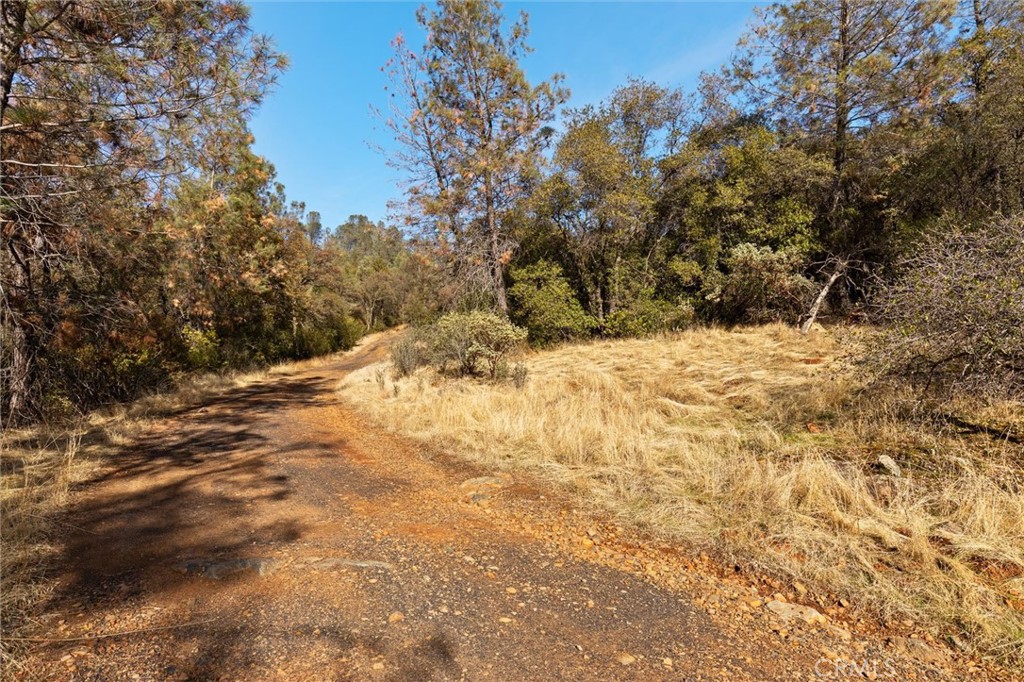 749 Hurleton Road Oroville, CA 95966 - Photo 23 of 58 Autumn