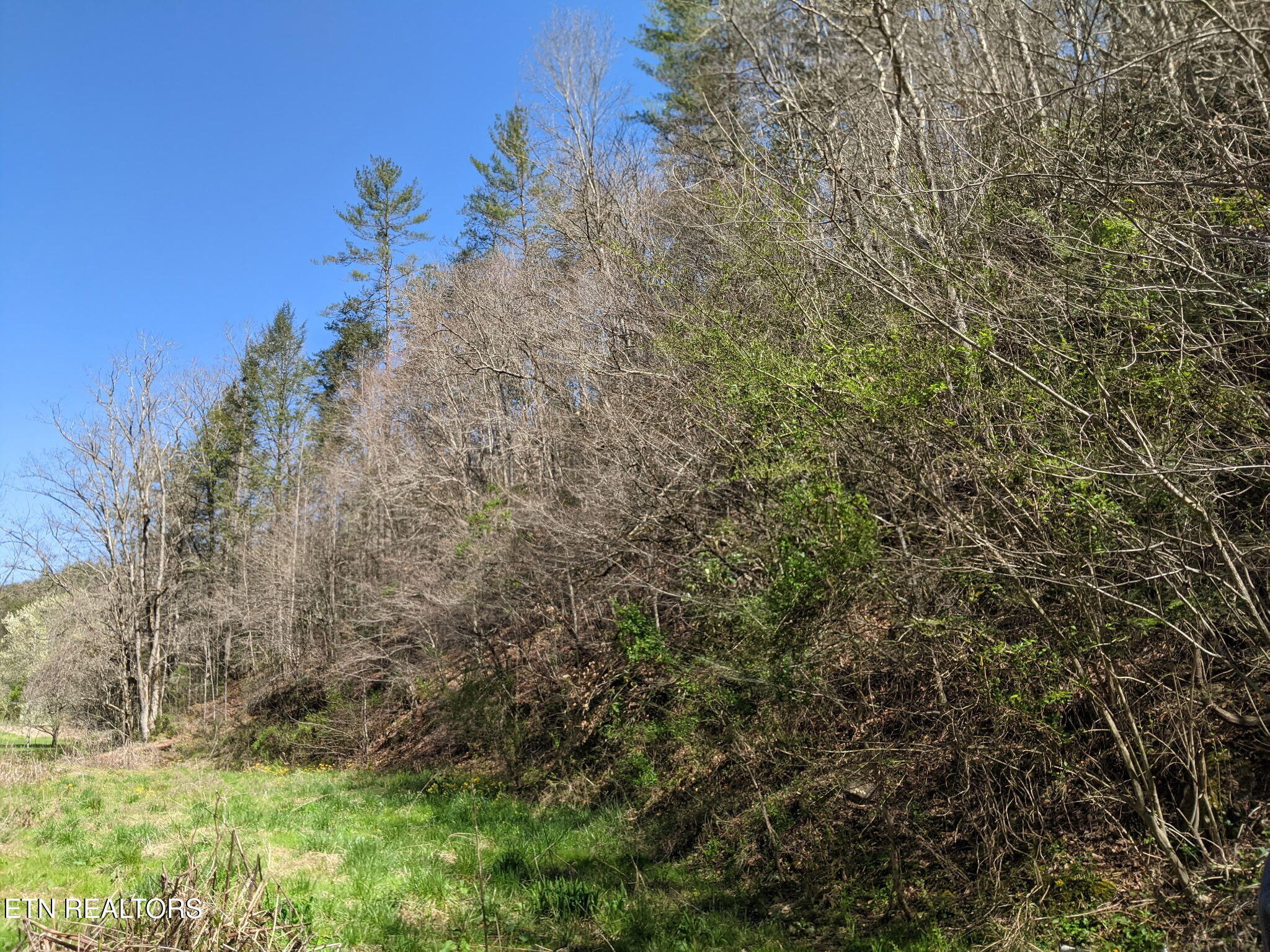 760 Black Branch Road Del Rio, TN 37727 - Photo 12 of 16 760 Black Branch Rd