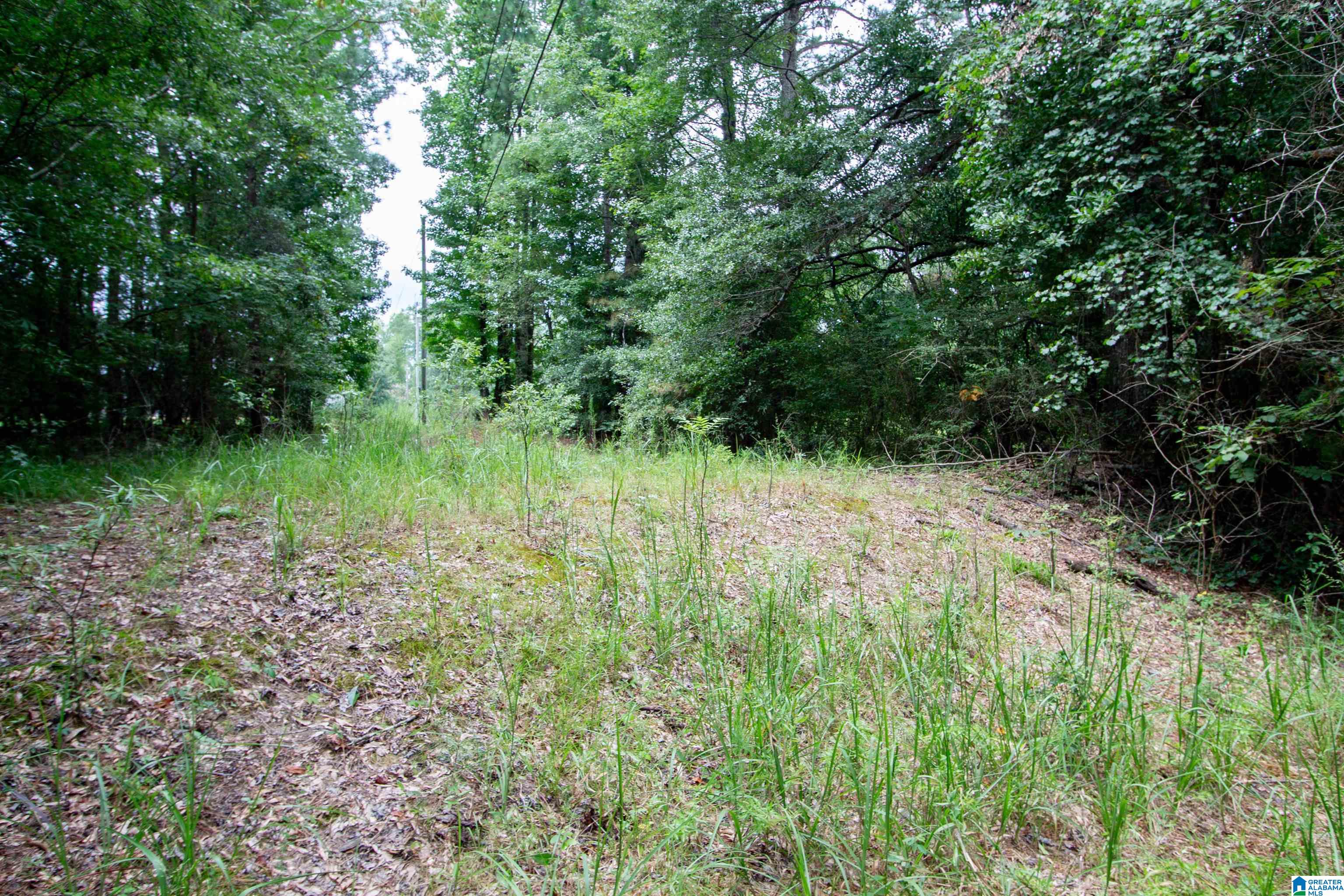 97 Joiner Road Hayden, AL 35079 - Photo 41 of 42