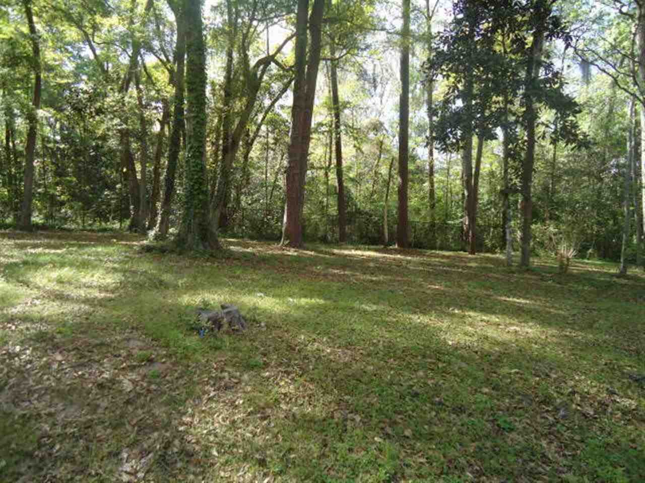3336 Charleston Road Tallahassee, FL 32309 - Photo 3 of 21 Gallery Image 3