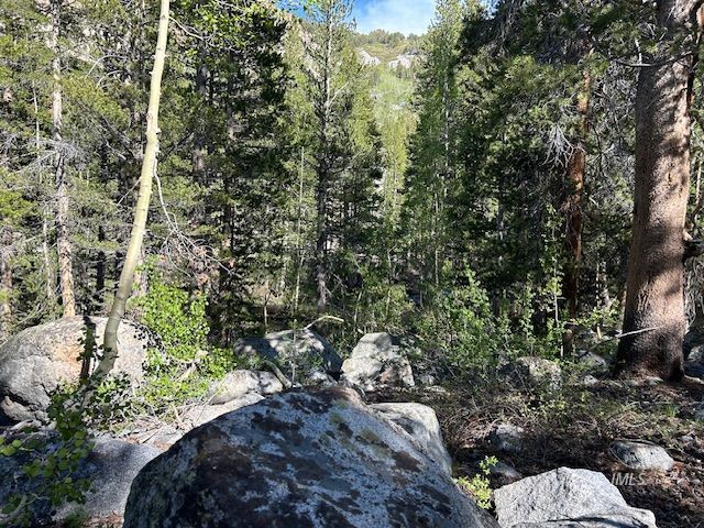2 South Lake Road Bishop, CA 93514 - Photo 15 of 18 a view of a tree with a yard