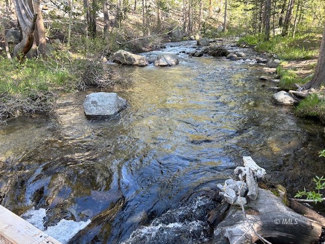 2 South Lake Road Bishop, CA 93514 - Photo 16 of 18 a view of a dry yard with trees