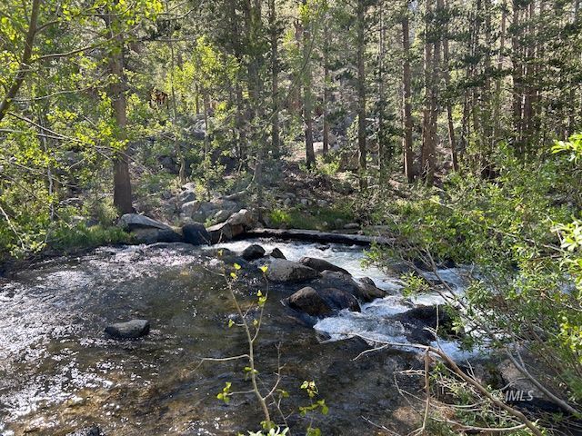 2 South Lake Road Bishop, CA 93514 - Photo 17 of 18 a view of a forest with lots of trees