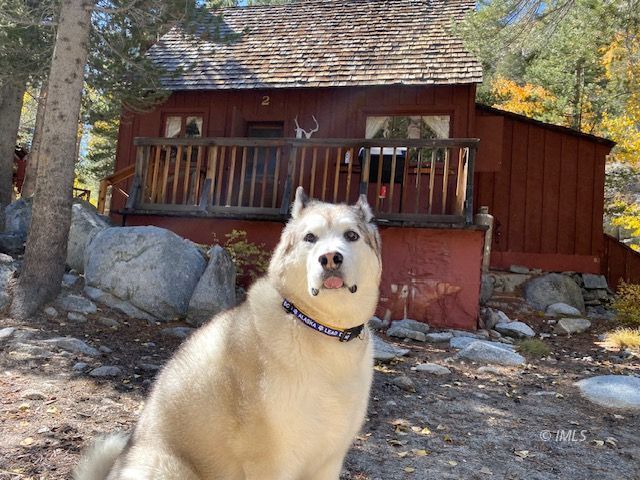2 South Lake Road Bishop, CA 93514 - Photo 5 of 18 a view of a wooden house with a yard and wooden fence