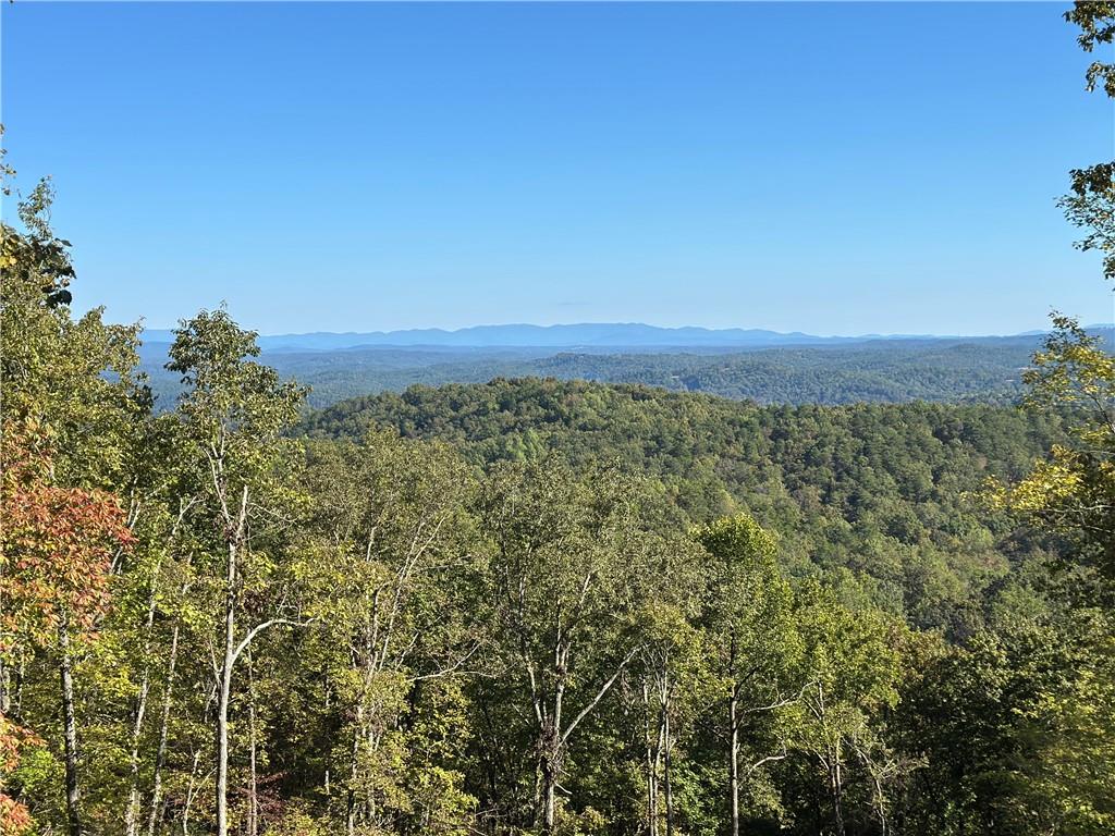 1176 Jewel Court Northeast Ranger, GA 30734 - Photo 2 of 58