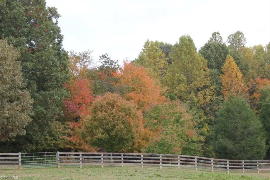 469 Justamere Farm Road Greensboro, NC 27455 - Photo 19 of 30