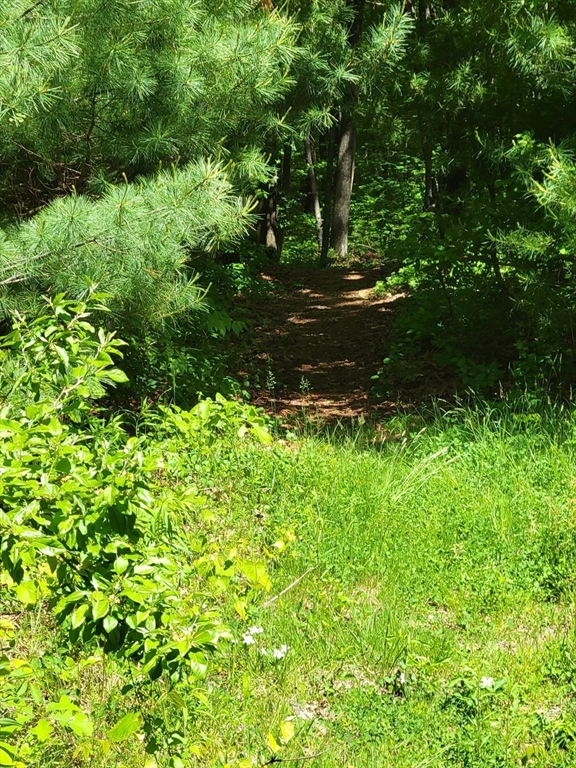 Lot 5 Daniels Road Dudley, MA 01571 - Photo 8 of 8