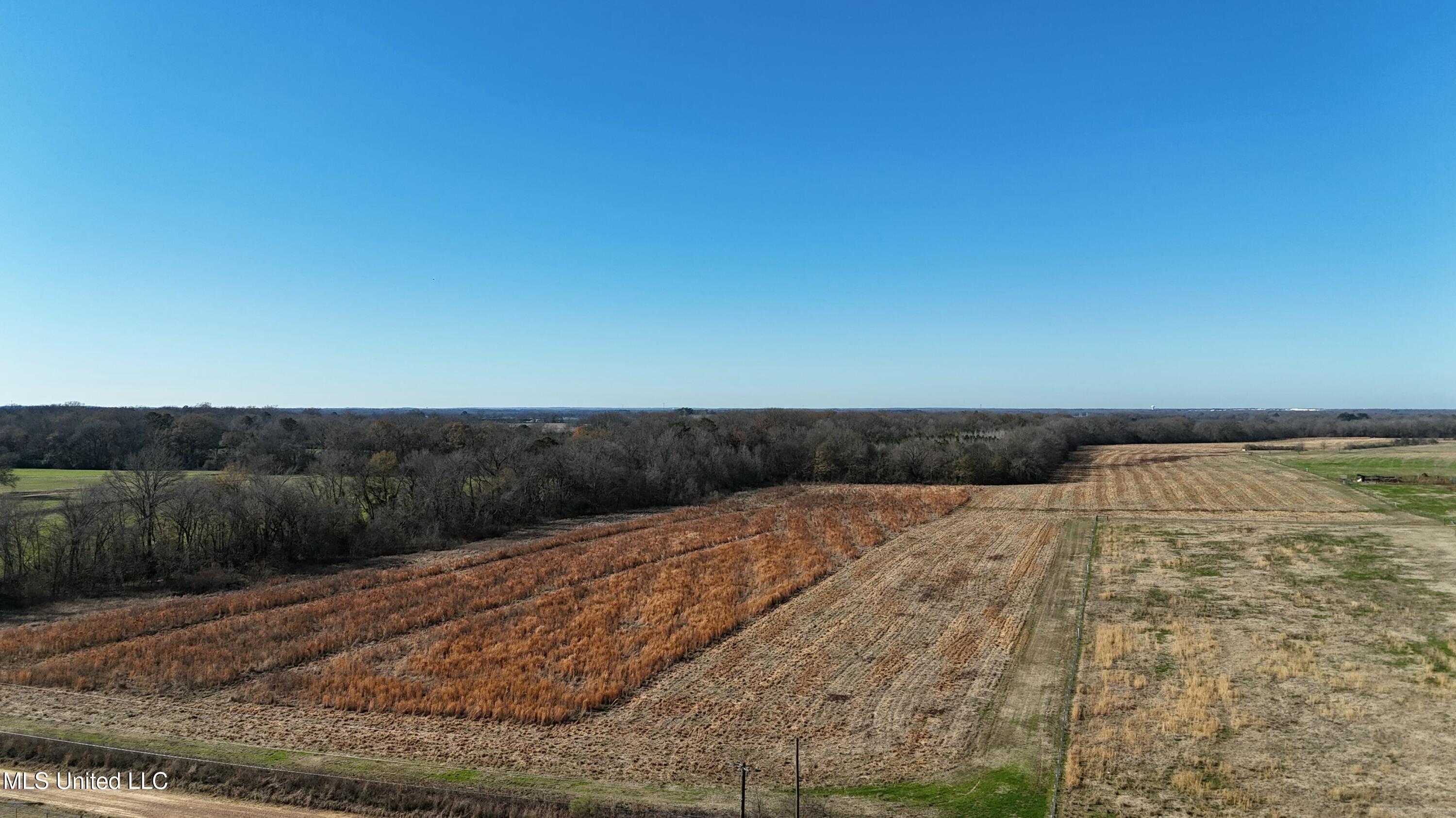 940 Endris Road Canton, MS 39046 - Photo 3 of 14 tempImagerk61tn
