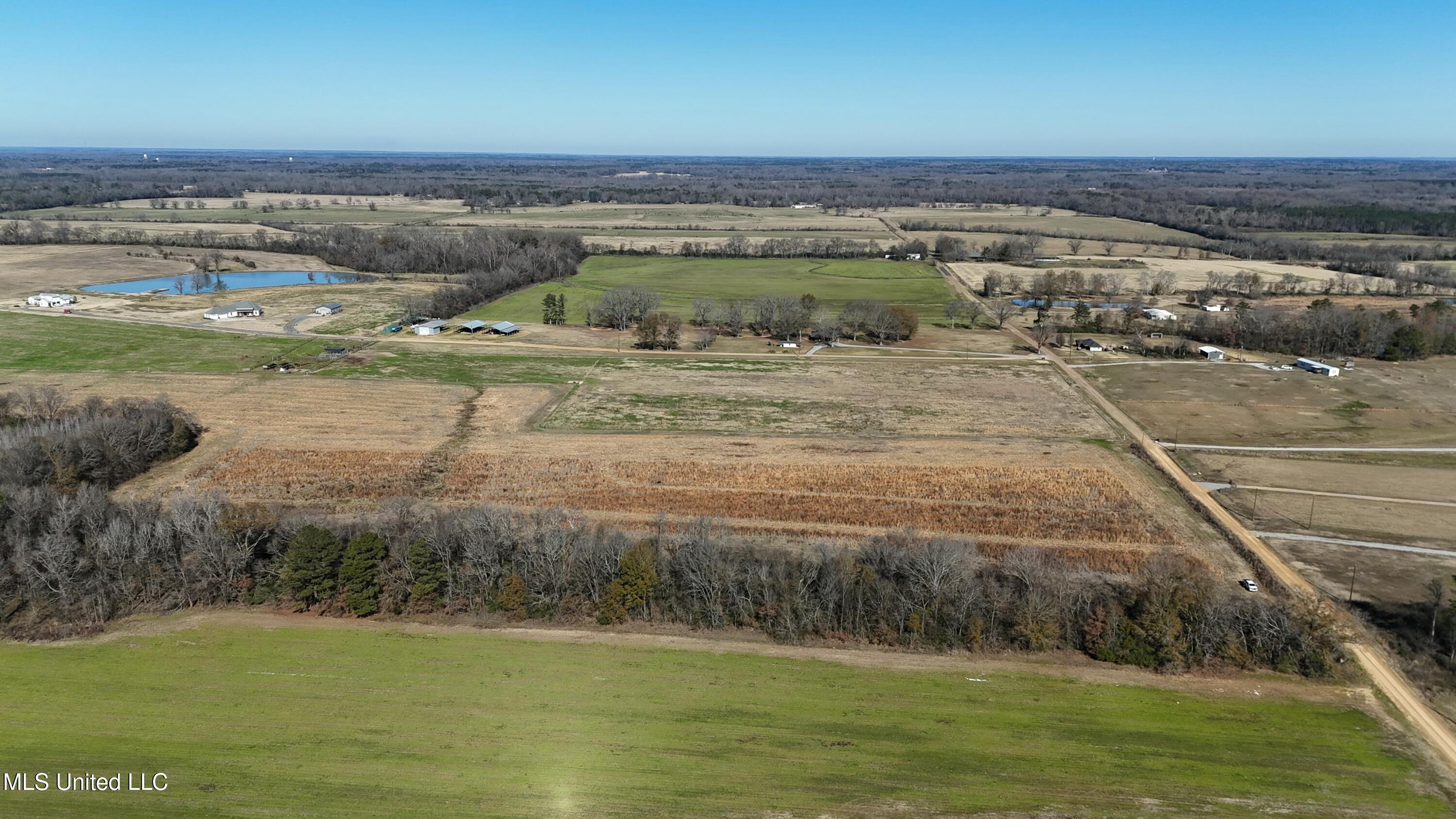 940 Endris Road Canton, MS 39046 - Photo 8 of 14 tempImage08n7eT