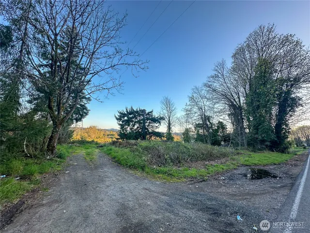 a view of a field with plants and trees