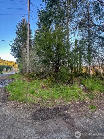 a view of a yard with plants and trees