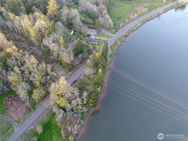 a view of a yard with plants