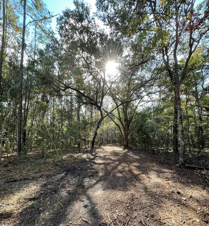 Success Road Brooksville, FL 34604 - Photo 1 of 1