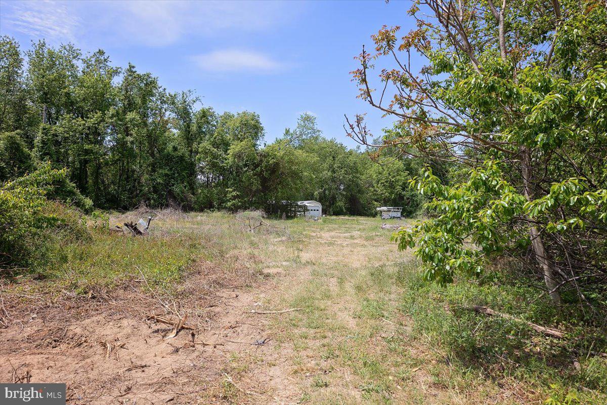 3720 Payne Road Preston, MD 21655 - Photo 34 of 42 34-Backyard