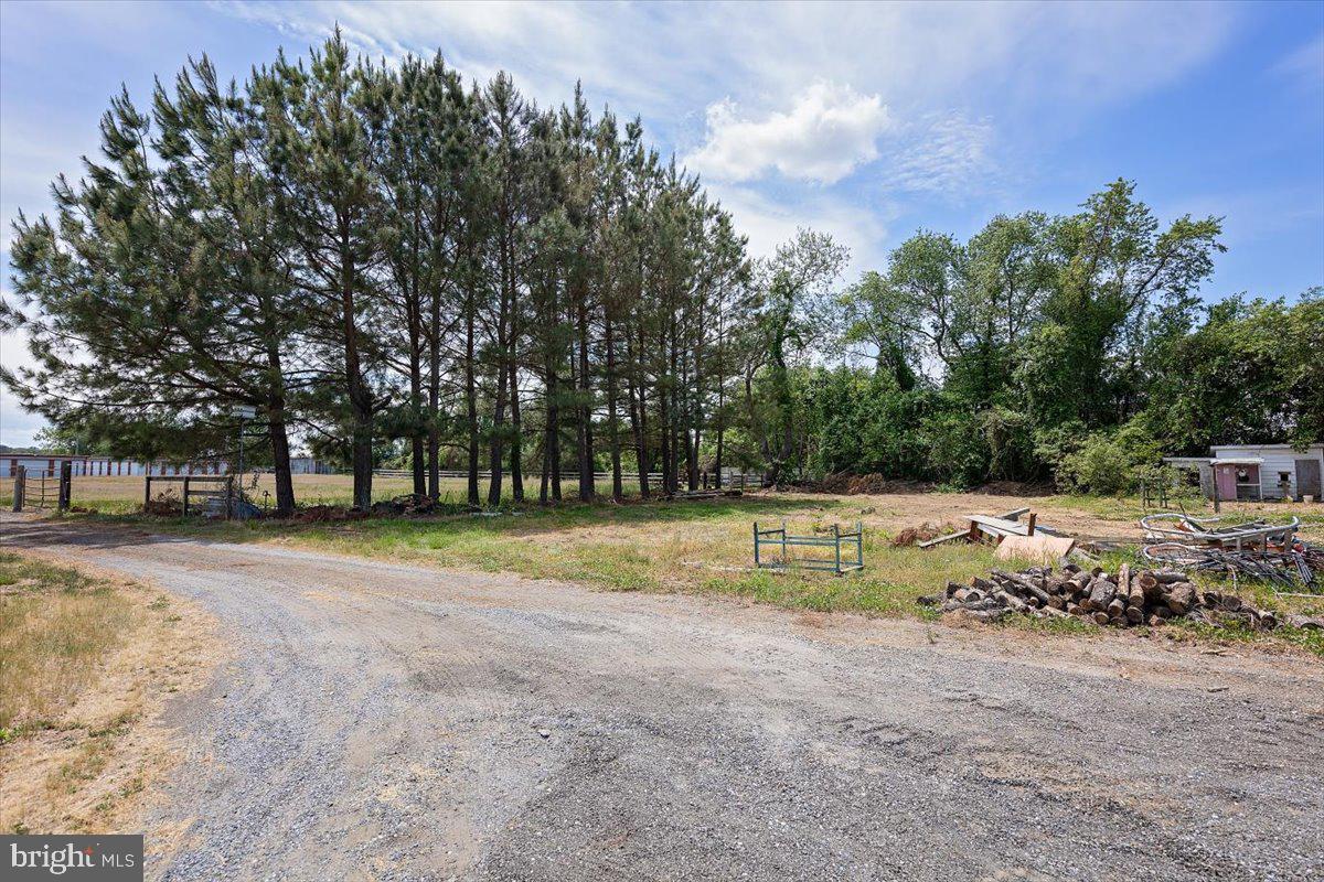 3720 Payne Road Preston, MD 21655 - Photo 36 of 42 36-Yard