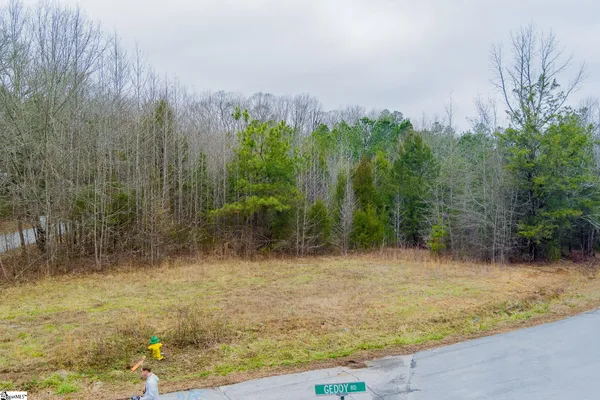 $120,000 | 0 Baynes Creek Road, Gray Court, SC 29645