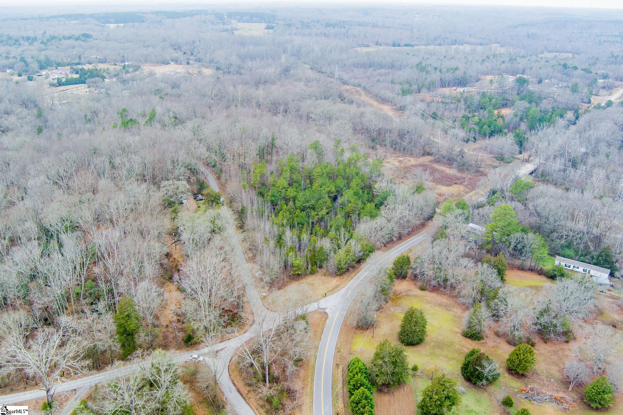 0 Baynes Creek Road Gray Court, SC 29645 - Photo 11 of 13