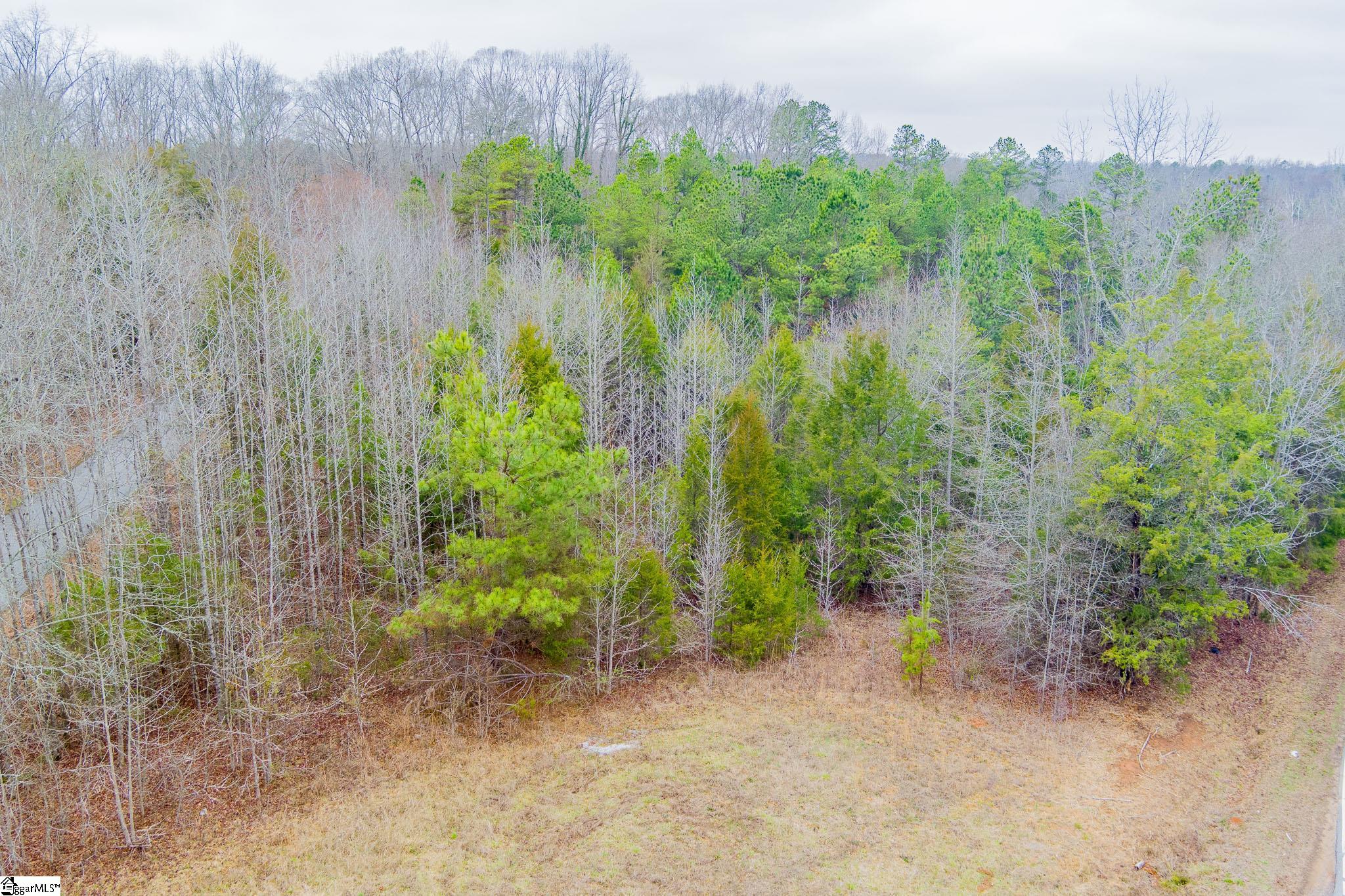 0 Baynes Creek Road Gray Court, SC 29645 - Photo 12 of 13