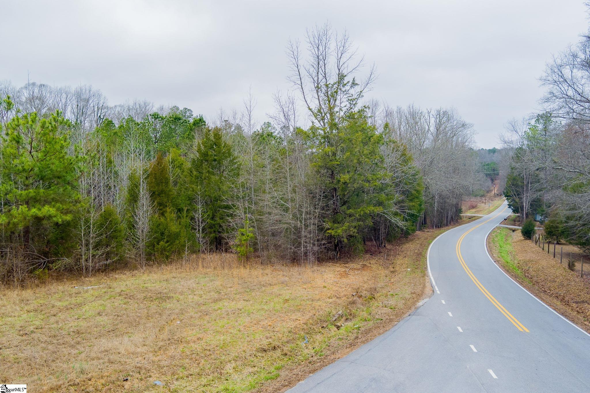 0 Baynes Creek Road Gray Court, SC 29645 - Photo 13 of 13