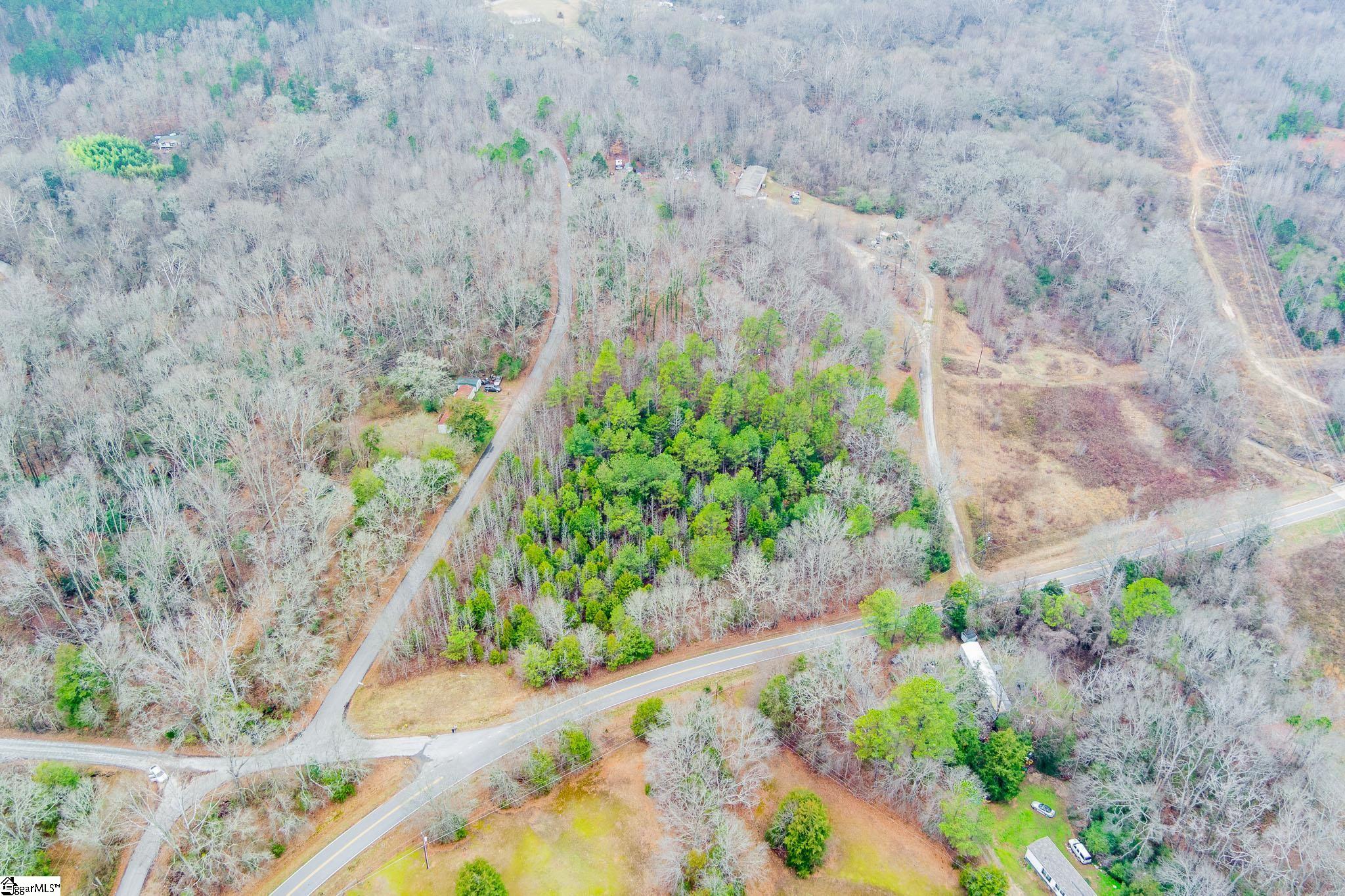 0 Baynes Creek Road Gray Court, SC 29645 - Photo 3 of 13