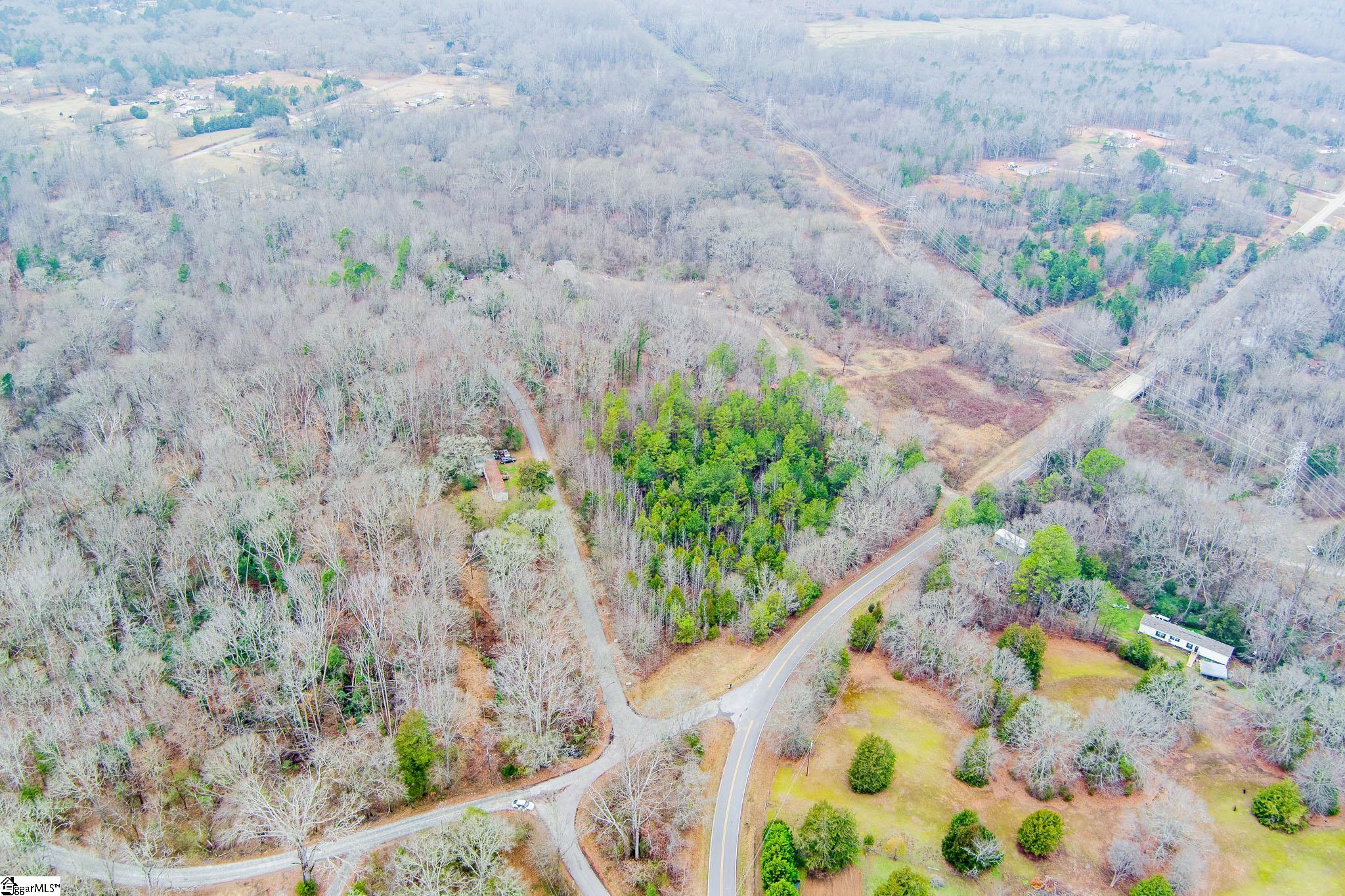 0 Baynes Creek Road Gray Court, SC 29645 - Photo 4 of 13