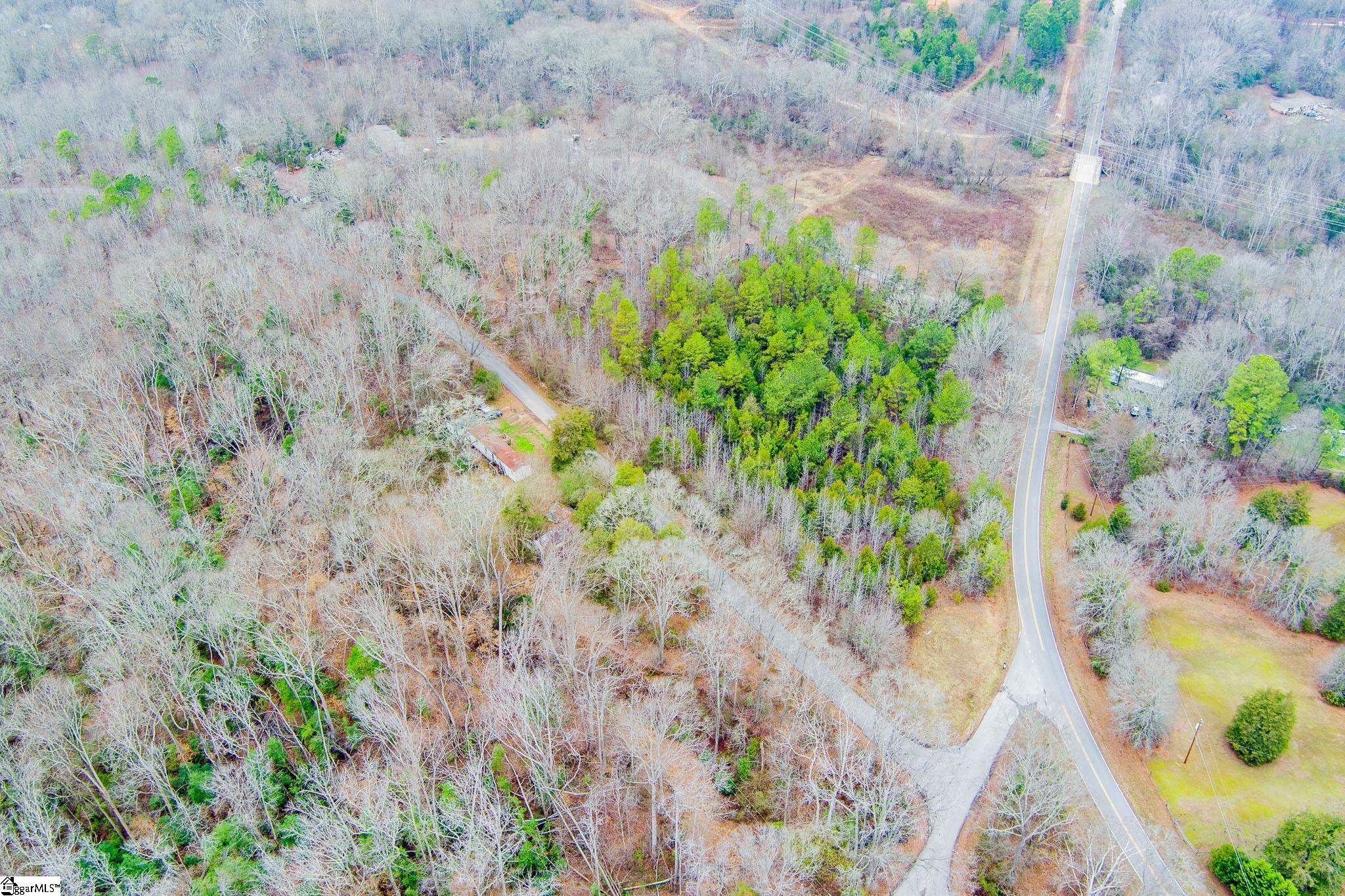 0 Baynes Creek Road Gray Court, SC 29645 - Photo 6 of 13