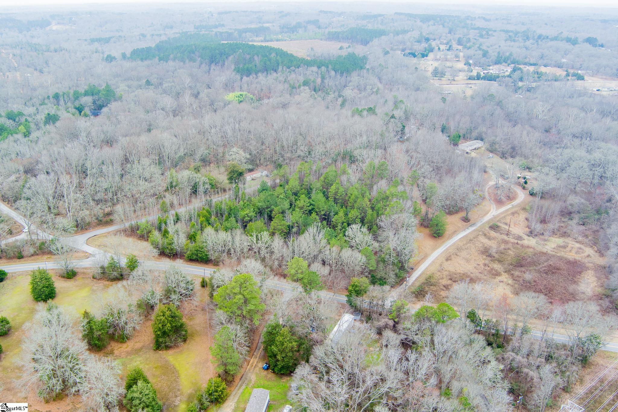0 Baynes Creek Road Gray Court, SC 29645 - Photo 10 of 13