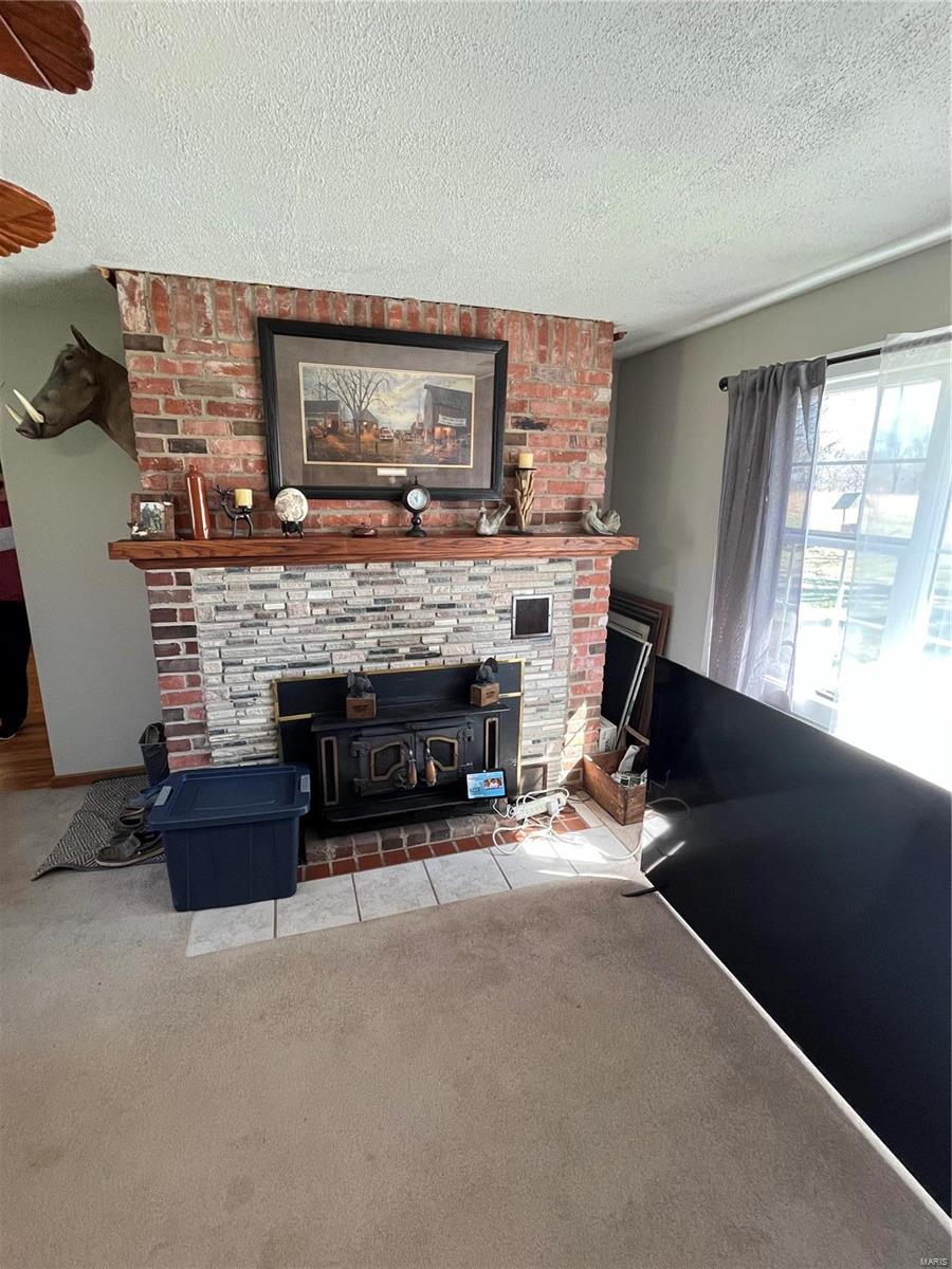 7 West Loop Road Winfield, MO 63389 - Photo 5 of 26