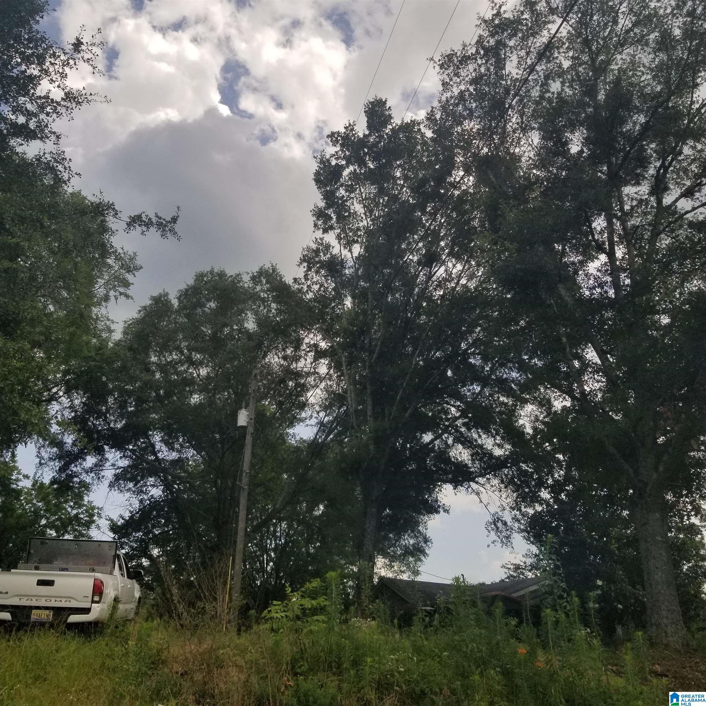 11284 Us Highway Riverside, AL 35135 - Photo 9 of 20