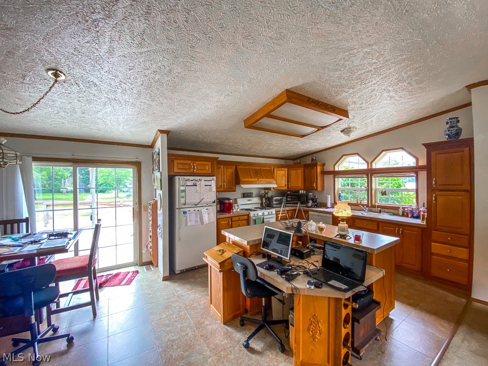 17499 Kinsman Road Middlefield, OH 44062 - Photo 16 of 49 Tiled office space with a textured ceiling, crown molding, and vaulted ceiling