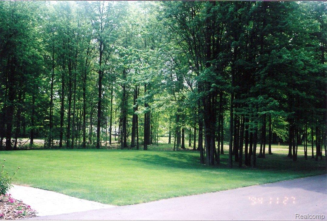 29156 Crawford Road Romulus, MI 48174 - Photo 7 of 7 scan0007