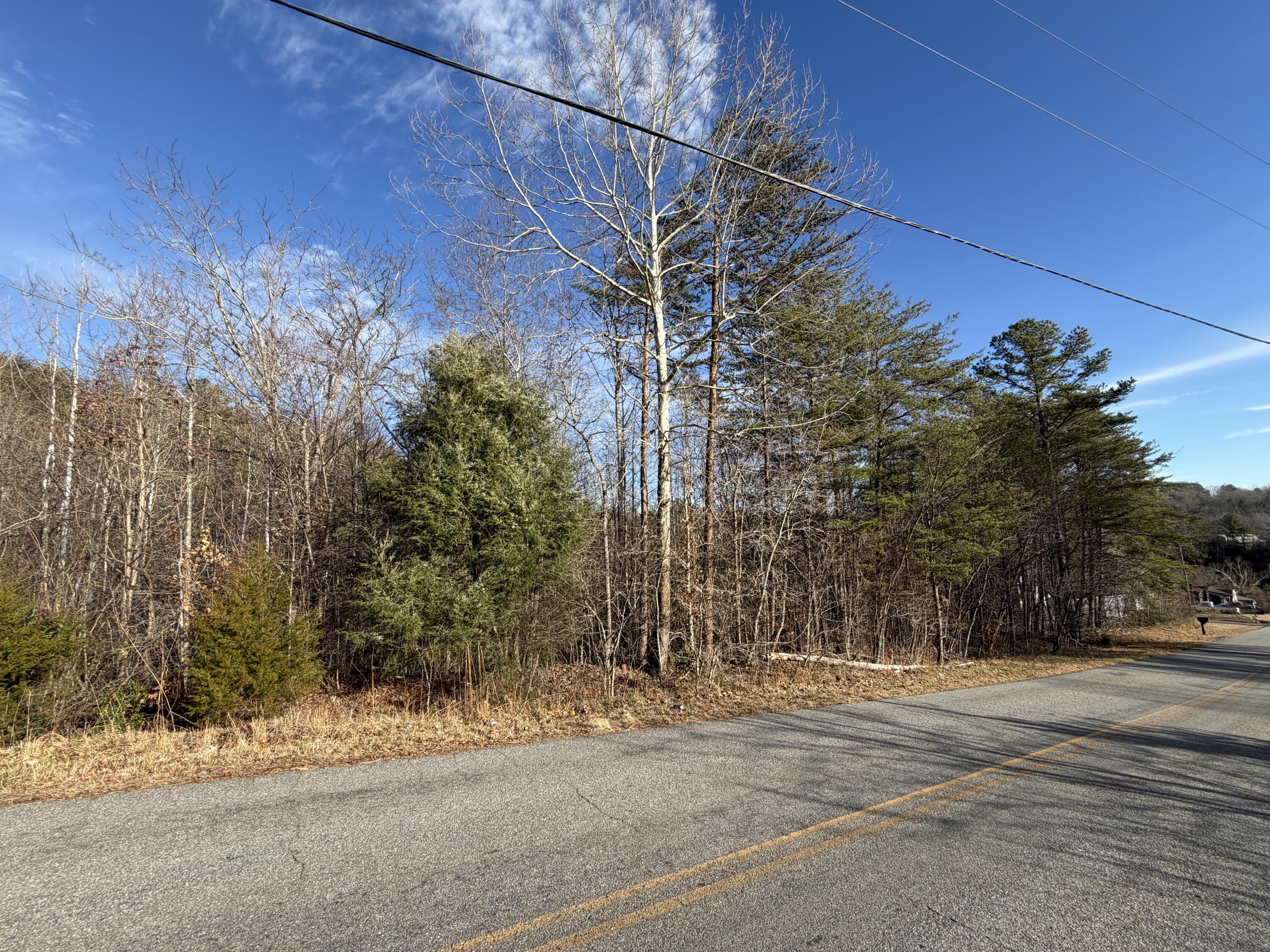 Lot 8 Pine Valley Road Bassett, VA 24055 - Photo 2 of 3 Lot 8