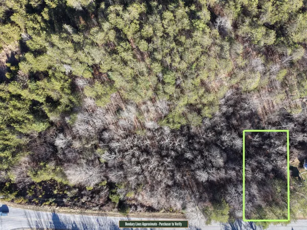 a view of a dry yard with wooden fence and a tree