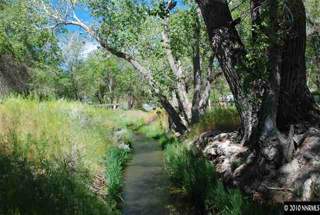 400 Theobald Reno, NV 89521 - Photo 2 of 9 a view of a forest with a tree