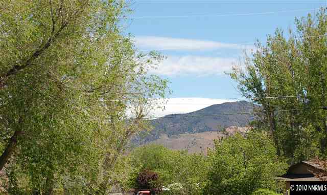 400 Theobald Reno, NV 89521 - Photo 3 of 9 a view of a yard