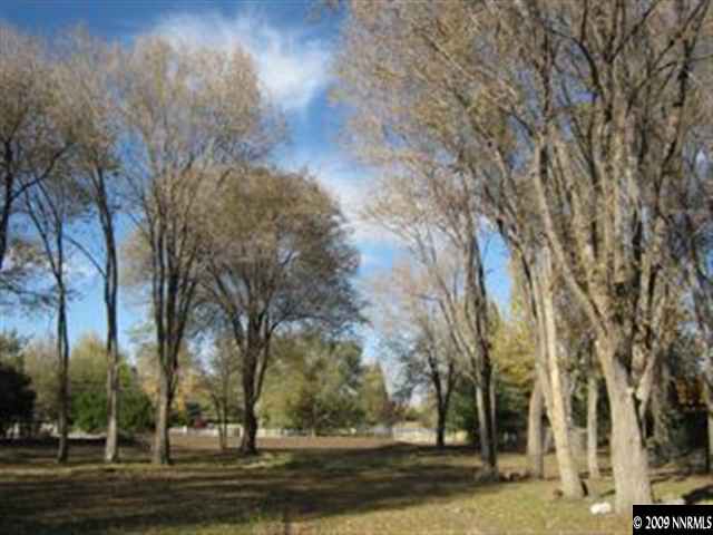 400 Theobald Reno, NV 89521 - Photo 5 of 9 a view of road with trees