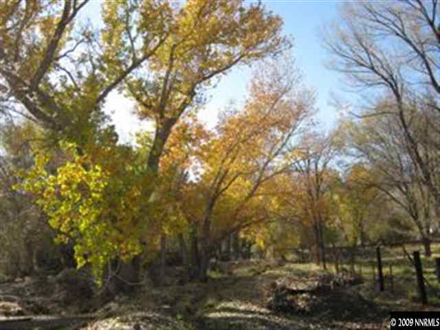 400 Theobald Reno, NV 89521 - Photo 7 of 9 a view of mountain view with lots of trees