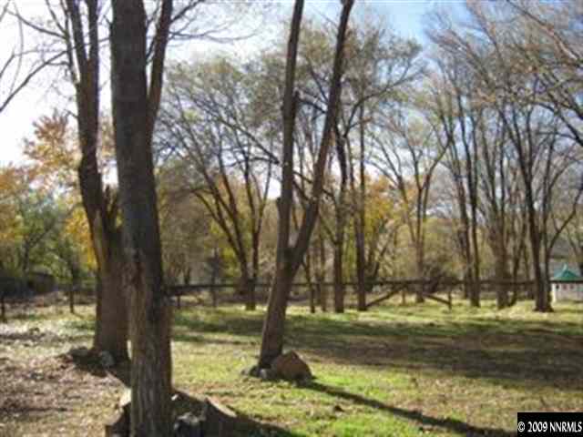 400 Theobald Reno, NV 89521 - Photo 8 of 9 a view of a yard with large trees
