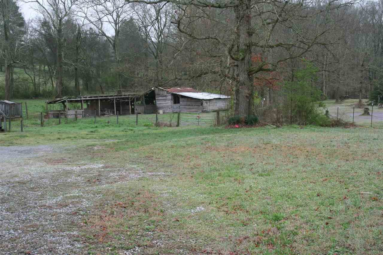 1502 Ladd Springs Road Southeast Cleveland, TN 37323 - Photo 5 of 19 a view of a backyard with large trees