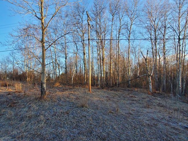 0 Green Road West Branch, MI 48661 - Photo 5 of 11 Gallery Image 5