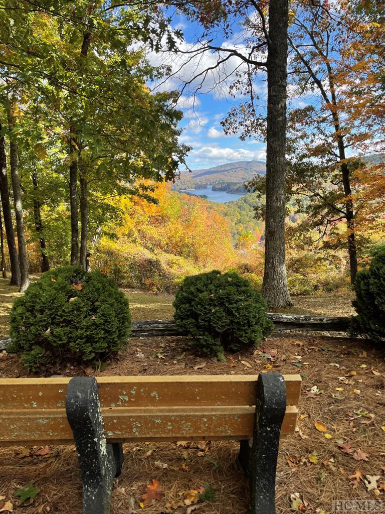 On On Shepherds Gap Road Cullowhee, NC 28723 - Photo 11 of 17 Gallery Image 11